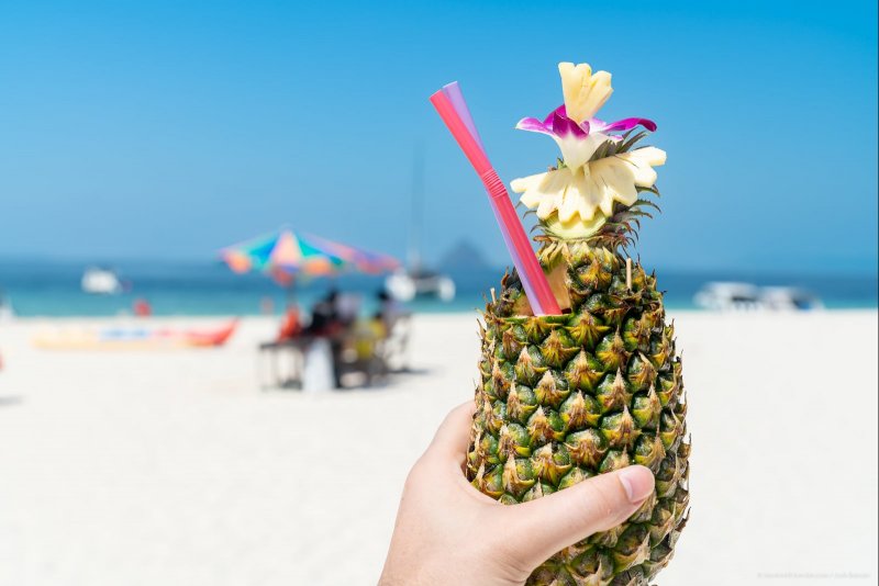 11 Best Destinations in Southeast Asia for Digital Nomads